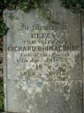 image of grave number 470221